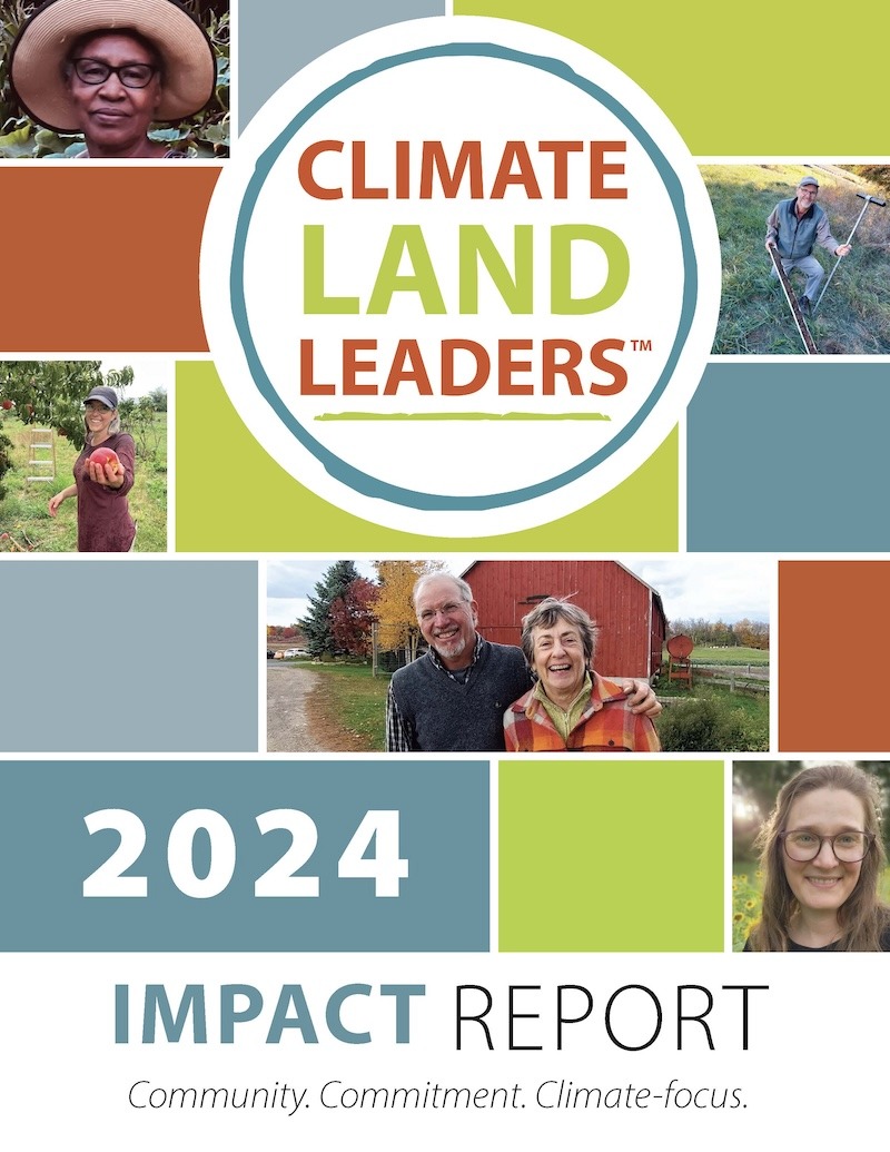 Impact Report Cover