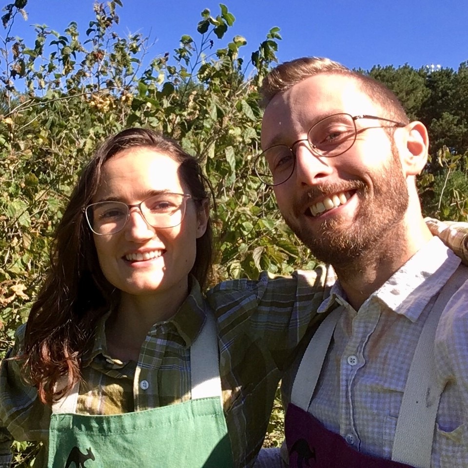 Coppicing Hazels Insights From Nine Hazels Farm Climate Land Leaders