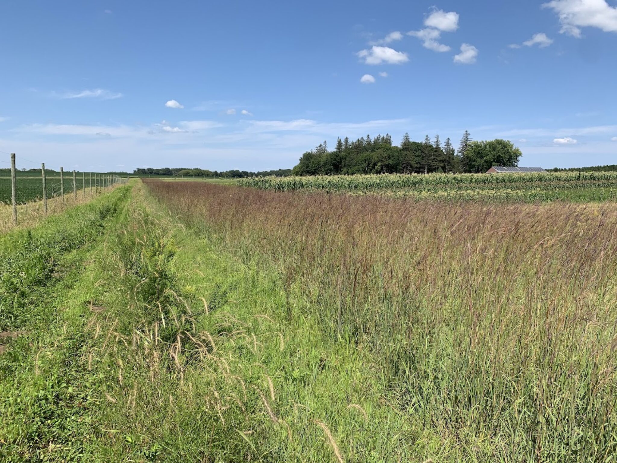 Sogn Valley Farm: Restoration as a Way of Life - Climate Land Leaders