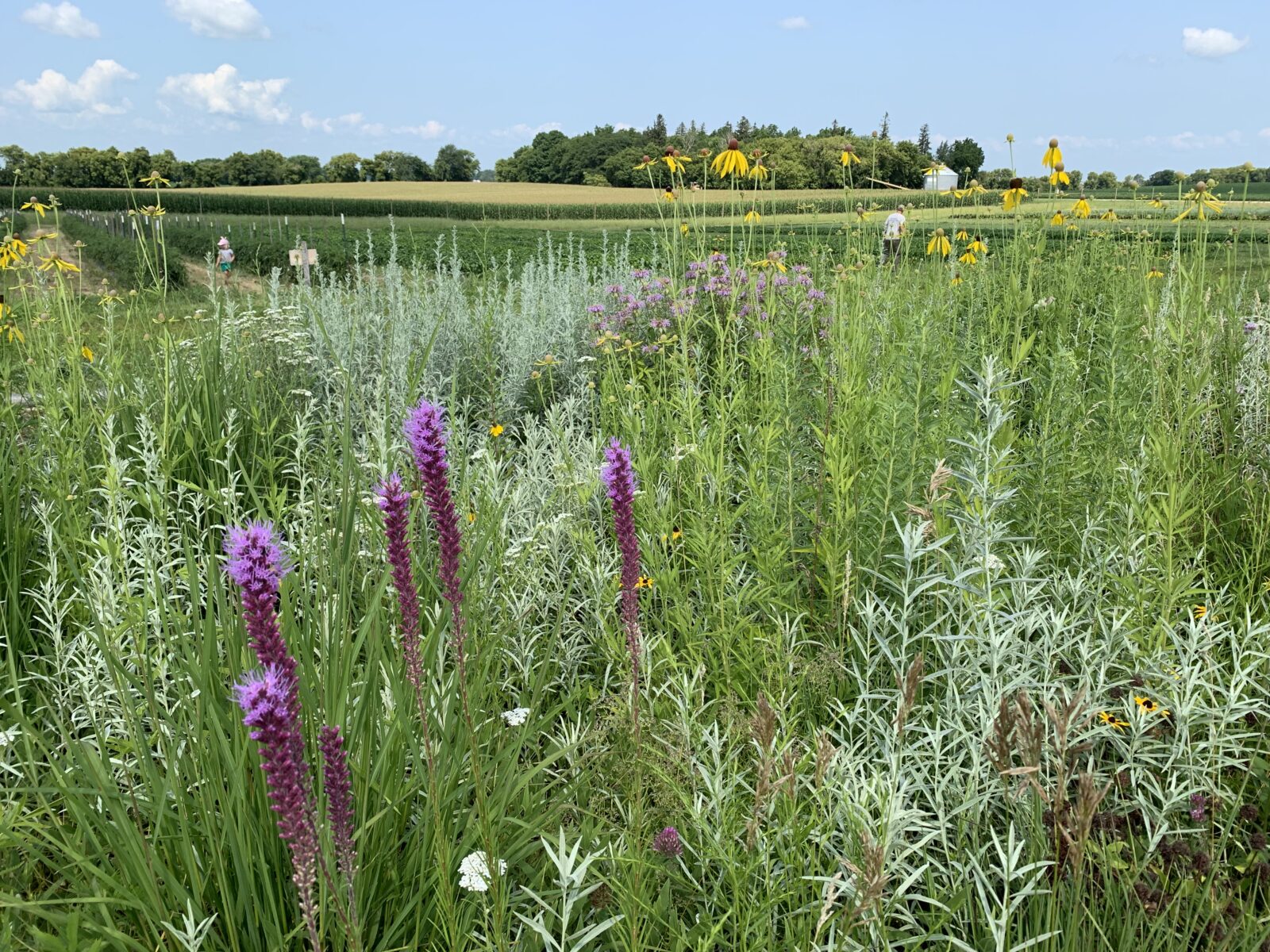 Sogn Valley Farm: Restoration as a Way of Life - Climate Land Leaders